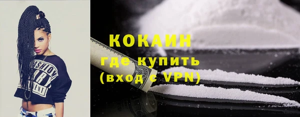 шишки Абинск